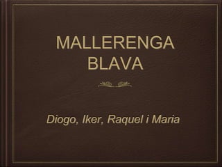 MALLERENGA
BLAVA
Diogo, Iker, Raquel i Maria
 