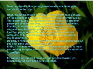 Dans ce plan d'action, on argumentera des manières pour
sauver le bouton d'or.
Nous, on est en entrain de détruire son habitat; on les écrase;
on les arrache et on contamine avec la fumée des véhicules.
Tout d'abord, une des manières c'est de ne pas les arracher
parce que si tu les arraches, tu provoqueras leur extinction.
Ensuite, il ne faut pas contaminer l'air parce que si on le
contamine on la détruira parce qu'elle respire l'air.
Il ne faut pas non plus l'écraser avec le pied ou avec les
véhicules. Si tu les écrases, elles meurent et nous aurons
moins d'oxygène.
De plus, il ne faut pas détruire son habitat parce qu'elle ne peut
pas aller dans un autre lieu pour vivre.
Enﬁn, il faut faire une campagne (blog) parce que si tu le mets
sur un blog, les gens connaîtront le bouton d'or et ils voudront
le protéger.
En conclusion, on croit qu'on ne doit pas les écraser, les
arracher car ce sont des ﬂeurs très jolies.
 