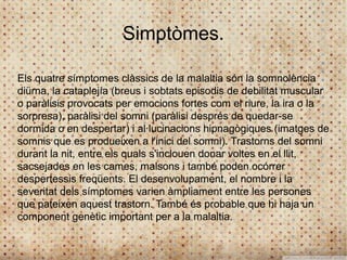 Simptòmes.

Els quatre símptomes clàssics de la malaltia són la somnolència
diürna, la cataplejía (breus i sobtats episodis de debilitat muscular
o paràlisis provocats per emocions fortes com el riure, la ira o la
sorpresa), paràlisi del somni (paràlisi després de quedar-se
dormida o en despertar) i al·lucinacions hipnagògiques (imatges de
somnis que es produeixen a l'inici del somni). Trastorns del somni
durant la nit, entre els quals s'inclouen donar voltes en el llit,
sacsejades en les cames, malsons i també poden ocórrer
despertessis freqüents. El desenvolupament, el nombre i la
severitat dels símptomes varien àmpliament entre les persones
que pateixen aquest trastorn. També és probable que hi haja un
component genètic important per a la malaltia.
 