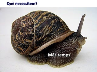 Què necessitem?




                  Més temps
 