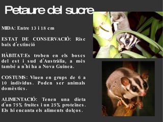 Petaure del sucre MIDA: Entre 13 i 18 cm ESTAT DE CONSERVACIÓ: Risc baix d'extinció HÀBITAT:Es troben en els boscs del est i sud d'Austràlia, a més també a n'hi ha a Nova Guinea. COSTUMS: Viuen en grups de 6 a 10 individus. Poden ser animals domèstics. ALIMENTACIÓ: Tenen una dieta d'un 75% fruites i un 25% proteïnes. Els hi encanta els aliments dolços. 