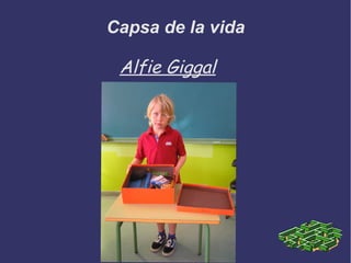 Capsa de la vida
Alfie Giggal
 