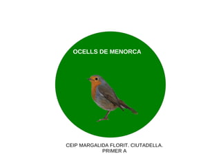 OCELLS DE MENORCA CEIP MARGALIDA FLORIT. CIUTADELLA. PRIMER A 