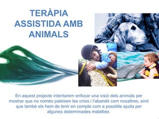 TERÀPIA
  ASSISTIDA AMB
    ANIMALS




  En aquest projecte intentarem enfocar una visió dels animals per
mostrar que no només pateixen les crisis i l'abandó com nosaltres, sinó
  que també els hem de tenir en compte com a possible ajuda per
                  algunes determinades malalties
 