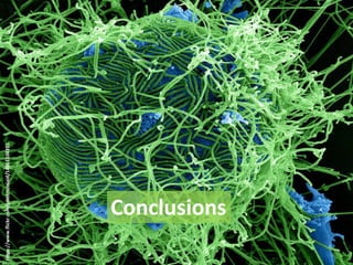 Conclusions 
https://www.flickr.com/photos/niaid/14861104355  