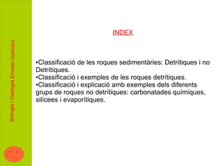INDEX
Biologia i Geologia Ernesto Guerrero




                                       ●Classificació de les roques sedimentàries: Detrítiques i no
                                       Detrítiques.
                                       ●Classificació i exemples de les roques detrítiques.

                                       ●Classificació i explicació amb exemples dels diferents

                                       grups de roques no detrítiques: carbonatades químiques,
                                       silícees i evaporítiques.
 