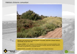 Hàbitats d’interès comunitari
Matollars amb dominància de siscall (Salsola vermiculata), salat blanc (Atriplex halimus)...,
halonitròfils, de sòls àrids (15e)
Hàbitats CORINE: 15.721 Matollars amb dominància de Salsola vermiculata (siscallars), botja
pudent (Artemisia herba-alba), barrella terrera (Kochia prostrata), salat blanc (Atriplex halimus)...,
halonitròfils, de sòls àrids de les contrades interiors
Hàbitat d’interès comunitari: 1430 Matollars halonitròfils (Pegano-Salsoletea)
 