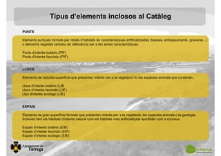 PUNTS
Elements puntuals formats per retalls d’hàbitats de característiques artificialitzades (basses, embassaments, graveres...)
o elements vegetals (arbres) de rellevància per a les seves característiques.
Punts d’interès botànic (PIF)
Punts d’interès faunístic (PIF)
LLOCS
Elements de reduïda superfície que presenten interès per a la vegetació i/o les espècies animals que contenen.
Llocs d’interès botànic (LIB
Llocs d’interès faunístic (LIF)
Lloc d’interès ecològic (LIE)
ESPAIS
Elements de gran superfície formats que presenten interès per a la vegetació, les especies animals o la geologia.
Inclouen tant els hàbitats d’interès natural com els hàbitats més artificialitzats aprofitats com a conreus.
Espais d’interès botànic (EIB)
Espais d’interès faunístic (EIF)
Espais d’interès ecològic (EIE)
Tipus d’elements inclosos al Catàleg
 