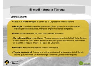 El medi natural a Tàrrega
Emmarcament:
• Situat a la Plana d’Urgell, al centre de la Depressió Central Catalana
• Geologia: domini de materials quaternaris (llims, graves i sorres ) i materials
terciaris (calcàries lacustres, margues, argiles i calcàries margoses).
• Relleu: extremadament pla, amb petits tossals arrodonits.
• Xarxa hidrogràfica: presidida per l’Ondara, que procedent de l’altiplà de la Segarra
travessa el terme d’est a oest. El seu afluent principal és el Cercavins. Més al nord
es localitza el Reguer d’Altet i el Regue de Claravalls.
• Bioclima: Xerotèric mediterrani subàrid continental.
• Vegetació potencial: Carrascar o alzinar continental, amb vegetació halòfila als
sectors que presenten un mal drenatge superficial (zones endorreiques).
 