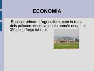 ECONOMIA El secor primari: l 'agricultura, com la resta dels païssos  desenvolupats,només ocupa el 3% de la força laboral. 