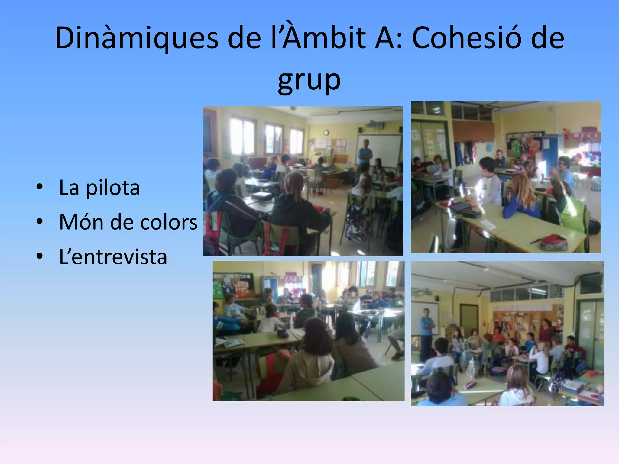 Dinàmiques de l’Àmbit A: Cohesió de
                grup


• La pilota
• Món de colors
• L’entrevista
 