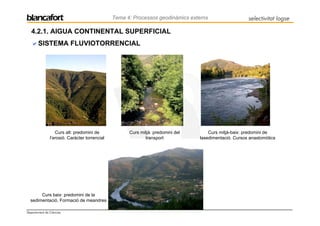 Tema 4: Processos geodinàmics externs                   selectivitat logse

   4.2.1. AIGUA CONTINENTAL SUPERFICIAL
       SISTEMA FLUVIOTORRENCIAL




                  Curs alt: predomini de             Curs mitjà: predomini del       Curs mitjà-baix: predomini de
               l’erosió. Caràcter torrencial                transport            lasedimentació. Cursos anastomòtics




       Curs baix: predomini de la
  sedimentació. Formació de meandres

Departament de Ciències
 