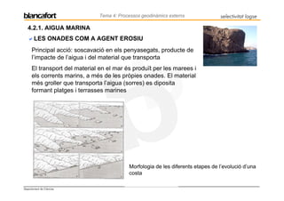 Tema 4: Processos geodinàmics externs             selectivitat logse

   4.2.1. AIGUA MARINA
       LES ONADES COM A AGENT EROSIU
      Principal acció: soscavació en els penyasegats, producte de
      l’impacte de l’aigua i del material que transporta
      El transport del material en el mar és produït per les marees i
      els corrents marins, a més de les pròpies onades. El material
      més groller que transporta l’aigua (sorres) es diposita
      formant platges i terrasses marines




                                           Morfologia de les diferents etapes de l’evolució d’una
                                           costa

Departament de Ciències
 