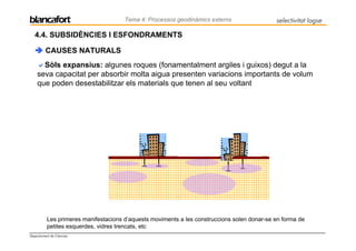 Tema 4: Processos geodinàmics externs                  selectivitat logse

   4.4. SUBSIDÈNCIES I ESFONDRAMENTS

         CAUSES NATURALS
      Sòls expansius: algunes roques (fonamentalment argiles i guixos) degut a la
    seva capacitat per absorbir molta aigua presenten variacions importants de volum
    que poden desestabilitzar els materials que tenen al seu voltant




          Les primeres manifestacions d’aquests moviments a les construccions solen donar-se en forma de
          petites esquerdes, vidres trencats, etc
Departament de Ciències
 