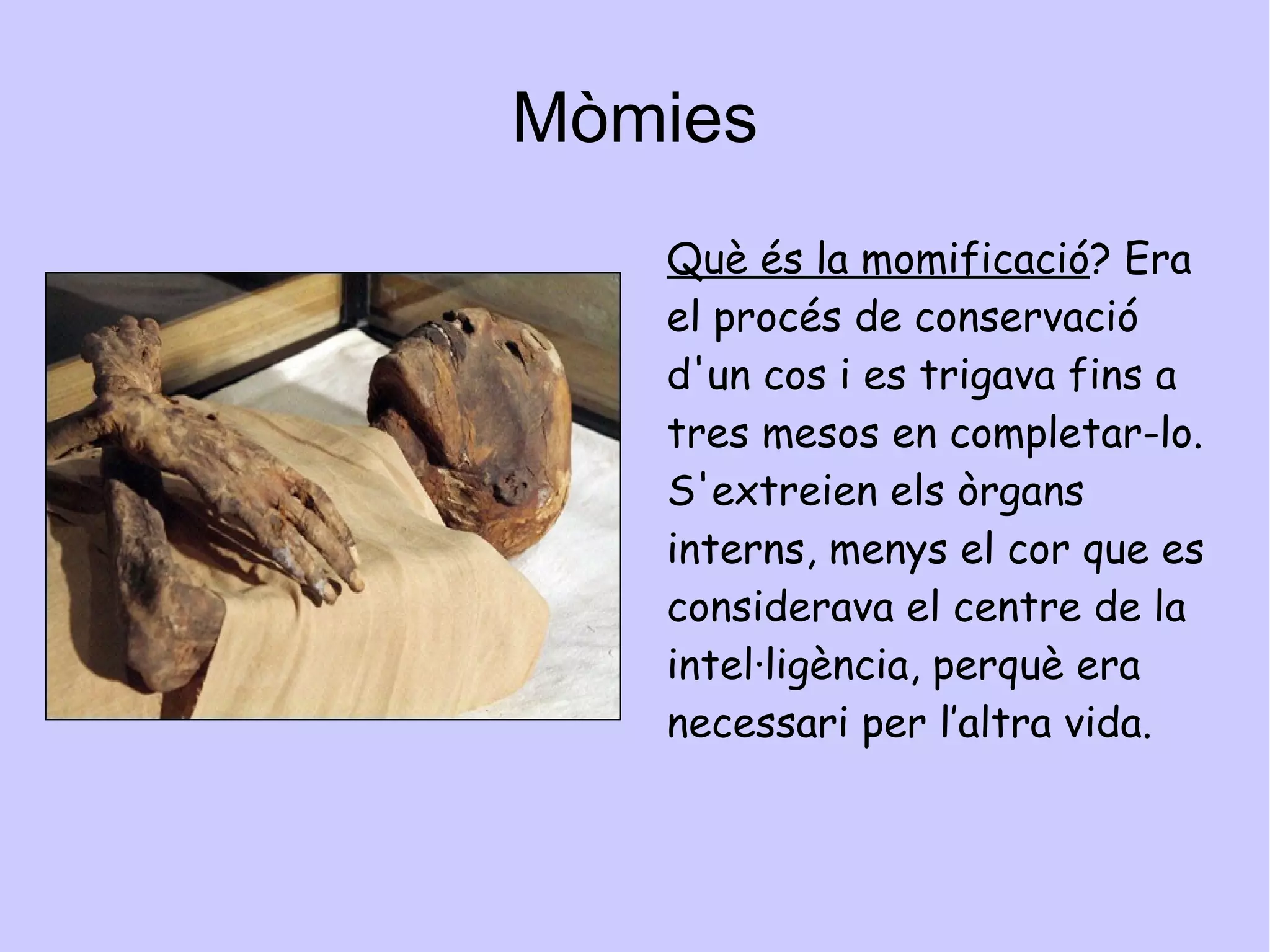 TUTANKAMON TutanKamon havia sigut de la dinastia XVIII de l'antic Egipte. Va succeir al seu germà Semenkhare i Tutankamon va començar a governar als 10 anys  (1335/1336 a 1325/1327 a C).Tot i la seva fama gràcies a haver-se descobert la seva tomba quasi intacta havia sigut un faraó secundari . Es va casar als 9 anys, i va morir als 19 anys d'edat després de regnar uns 10 anys  i sense haver consolidat el seu poder. 