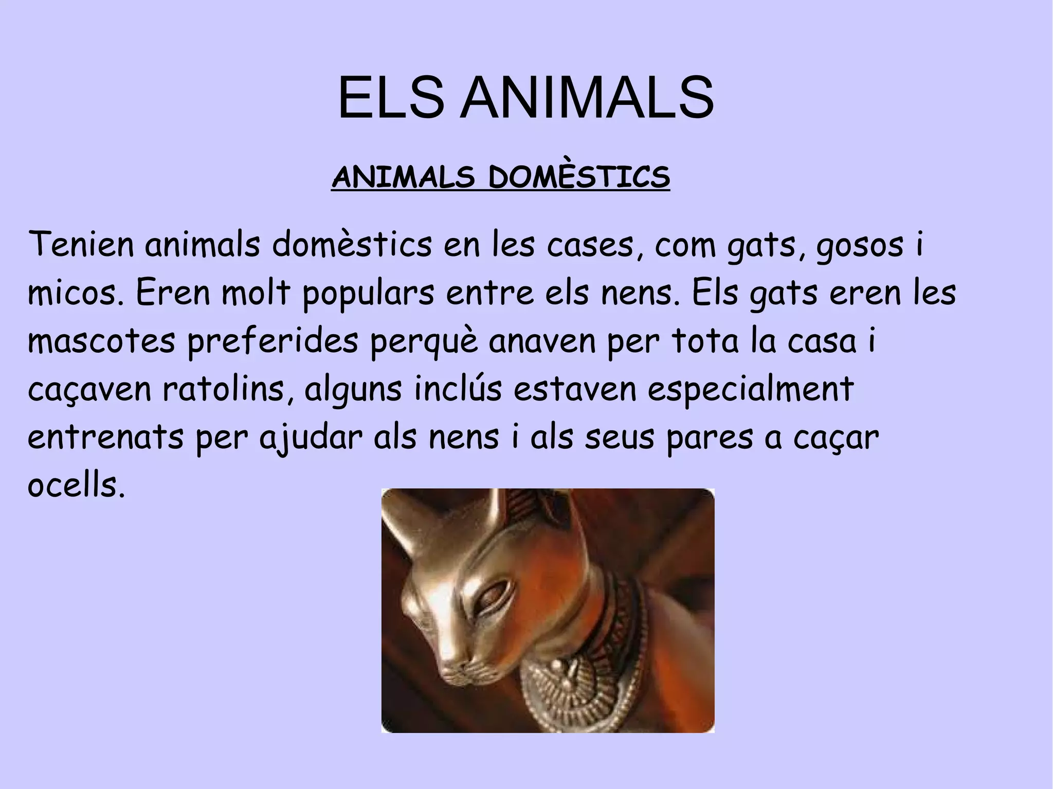 ELS  ANIMALS Els animals d'Egipte Els egipcis creien en una relació equilibrada entre la gent i els animals, eren un element molt important. Feien servir xarxes per capturar cabres i porcs. Els antics egipcis feien servir rucs i bous com bèsties de càrrega. 