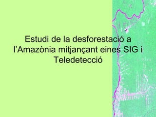 Estudi de la desforestació a
l’Amazònia mitjançant eines SIG i
          Teledetecció
 