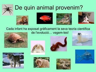 De quin animal provenim?
Cada infant ha exposat gràficament la seva teoria científica
de l’evolució… vegem-les!
 