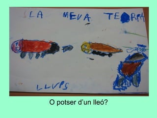 O potser d’un lleó?
 