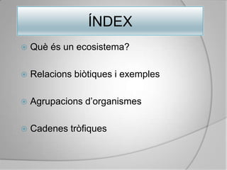 ÍNDEXQuè és un ecosistema?Relacions biòtiques i exemplesAgrupacions d’organismesCadenes tròfiques