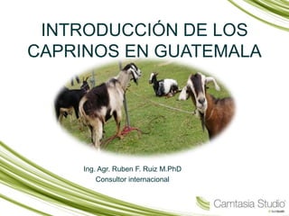 INTRODUCCIÓN DE LOS
CAPRINOS EN GUATEMALA
Ing. Agr. Ruben F. Ruiz M.PhD
Consultor internacional
 