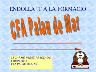ENDOLLA´T A LA FORMACIÓ
M CARME PEREZ PRECIADO
COMPETIC 3
CFA PALAU DE MAR
 