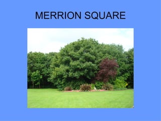 MERRION SQUARE
 