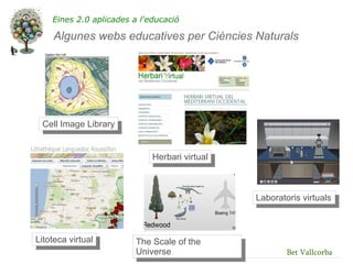 Eines 2.0 aplicades a l'educació

     Algunes webs educatives per Ciències Naturals




 Cell Image Library


                             Herbari virtual



                                               Laboratoris virtuals



Litoteca virtual         The Scale of the
                         Universe                      Bet Vallcorba
 