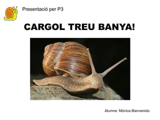 CARGOL TREU BANYA! Presentació per P3 Alumne: Mònica Bienvenido 