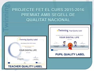 TEACHER QUALITY LABEL
PUPIL QUALITY LABEL
 