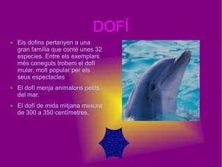 DOFÍ
Els dofins pertanyen a una
gran família que conté unes 32
especies. Entre els exemplars
més coneguts trobem el dofí
mular, molt popular per els
seus espectacles
El dofí menja animalons petits
del mar.
El dofí de mida mitjana mesura
de 300 a 350 centímetres.
 