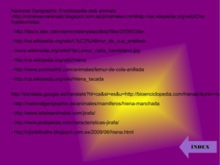 Nacional Geographic Enciclopedia dels animals.
-http://coneixemanimals.blogspot.com.es/p/camaleo.htmlhttp://es.wikipedia.org/wiki/Cha
maeleonidae
- http://blocs.xtec.cat/ceipmontsenyaacollida/files/2009/03/la-
- http://ca.wikipedia.org/wiki/L%C3%A8mur_de_cua_anellada
- mons.wikimedia.org/wiki/File:Lemur_catta_handstand.jpg
- http://ca.wikipedia.org/wiki/Hiena
- http://www.zoomadrid.com/animales/lemur-de-cola-anillada
- http://ca.wikipedia.org/wiki/Hiena_tacada
-
http://translate.google.es/translate?hl=ca&sl=es&u=http://bioenciclopedia.com/hienas/&prev=/se
- http://nationalgeographic.es/animales/mamiferos/hiena-manchada
- http://www.isladeanimales.com/jirafa/
- http://www.jirafapedia.com/caracteristicas-jirafa/
- http://ojodelbuitre.blogspot.com.es/2009/06/hiena.html
ÍNDEXÍNDEX
 