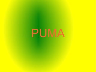 PUMA
 