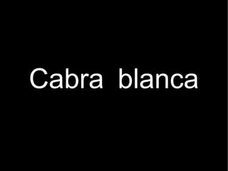 Cabra blanca
 