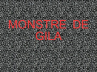 MONSTRE DE
GILA
 