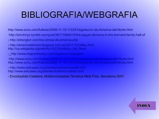 BIBLIOGRAFIA/WEBGRAFIA
http://www.zonu.com/fullsize/2009-11-19-11224/Vegetacion-de-America-del-Norte.html
http://amnhnyc.tumblr.com/post/38171884415/the-jaguar-diorama-in-the-bernard-family-hall-of
- http://elrenglon.com/los-climas-de-america.php
- http://americadelnord.blogspot.com.es/2011/10/relleu.html
http://ca.wikipedia.org/wiki/Am%C3%A8rica_del_Nord
-_http://www.mapaclimatico.com/tag/america/page/2
http://www.zonu.com/fullsize/2009-11-19-11224/Vegetacion-de-America-del-Norte.html
http://www.zonu.com/fullsize/2009-11-19-11224/Vegetacion-de-America-del-Norte.html
- http://www.setcases.org/plantes/botanic/matolls.html
http://www.setcases.org/plantes/botanic/matolls.html
- Enciclopèdia Catalana, Multienciclopèdia Temàtica Medi Físic. Barcelona 2007.
ÍNDEXÍNDEX
 