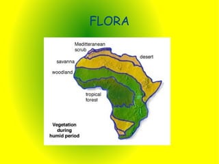 FLORA
 