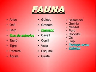 FAUNAFAUNA
● Ànec
● Dofí
● Serp
●
Oso de anteojosOso de anteojos
● Tauró
● Tigre
● Pantera
● Àguila
● Guineu
● Granota
●
FlamencFlamenc
● Cavall
● Conill
● Vaca
● Esquirol
● Girafa
● Saltamartí
● Goril·la
● Mussol
● Porc
● Cocodril
● Ós
● Llop
●
Tortuga arrauTortuga arrau
●
CaimanCaiman
 