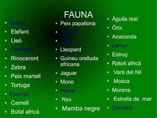 FAUNA
● Peix papallona
● Goril·la
● Tigre
● Lleopard
● Guineu orelluda
africana
● Jaguar
● Mono
● Hiena
● Nyu
● Mamba negre
● Girafa
● Elefant
● Lleó
● Camaleó
● Rinoceront
● Zebra
● Peix martell
● Tortuga
● Escorpí
● Camell
● Búfal africà
● Àguila real
● Òrix
● Anaconda
● Lemur
● Estruç
● Ratolí africà
● Varà del Nil
● Mosca
● Morena
● Estrella de mar
● Cocodril
 