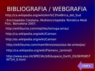BIBLIOGRAFIA / WEBGRAFIA
http://ca.wikipedia.org/wiki/Am%C3%A8rica_del_Sud
- Enciclopèdia Catalana, Multienciclopèdia Temàtica Medi
Físic. Barcelona 2007.
http://ca.wikipedia.org/wiki/Flamenc_(animal)
http://wikifaunia.com/reptiles/tortuga-arrau/
http://ca.wikipedia.org/wiki/Caiman
http://es.wikipedia.org/wiki/Caiman
http://wikifaunia.com/mamiferos/osos/oso-de-anteojos/
http://www.esa.int/SPECIALS/Eduspace_Earth_ES/SEMSB5T
WT1H_0.html
ÍNDEXÍNDEX
 