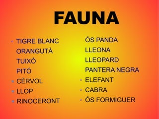 FAUNA
TIGRE BLANC
ORANGUTÀ
TUIXÓ
PITÓ
CÈRVOL
LLOP
RINOCERONT
ÓS PANDA
LLEONA
LLEOPARD
PANTERA NEGRA
ELEFANT
CABRA
ÓS FORMIGUER
 