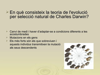 En què consisteix la teoria de l'evolució per selecció natural de Charles Darwin? Canvi de medi i haver d’adaptar-se a condicions diferents a les acostumbrades Mutacions en els gens Els més forts són els que sobreviuen i  aquests individus transmitixen la mutació  als seus descendents 