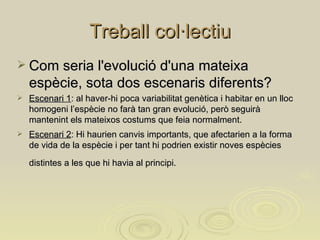 Treball col·lectiu Com seria l'evolució d'una mateixa espècie, sota dos escenaris diferents? Escenari 1 : al haver-hi poca variabilitat genètica i habitar en un lloc homogeni l’espècie no farà tan gran evolució, però seguirà mantenint els mateixos costums que feia normalment. Escenari 2 : Hi haurien canvis importants, que afectarien a la forma de vida de la espècie i per tant hi podrien existir noves espècies distintes a les que hi havia al principi.   