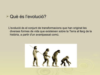 Què és l’evolució? L'evolució és el conjunt de transformacions que han originat les diverses formes de vida que existeixen sobre la Terra al llarg de la història, a partir d'un avantpassat comú.  