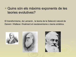 Quins són els màxims exponents de les teories evolutives? El transformisme, de Lamarck , la teoria de la Selecció natural de  Darwin i Wallace i finalment el neodarwinisme o teoria sintètica. 