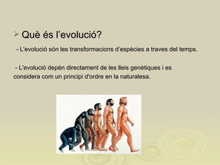 Què és l’evolució? - L'evolució són les transformacions d’espècies a traves del temps.  - L'evolució depèn directament de les lleis genètiques i es  considera com un principi d'ordre en la naturalesa.  