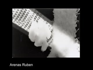 Arenas Ruben
 