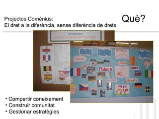 Què? Projectes Comènius: El dret a la diferència, sense diferència de drets Compartir coneixement Construir comunitat Gestionar estratègies 