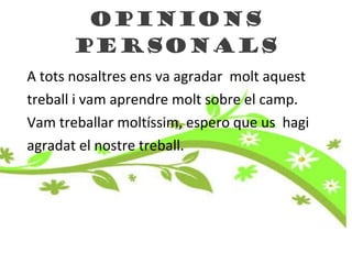 OPINIONS PERSONALS A tots nosaltres ens va agradar  molt aquest treball i va m  ap r endre molt sobre el camp.  Va m  t re ballar molt ís sim , espero que us  hagi  agradat el nostre treball.  