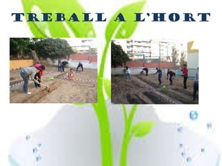 Treball a l’hort 